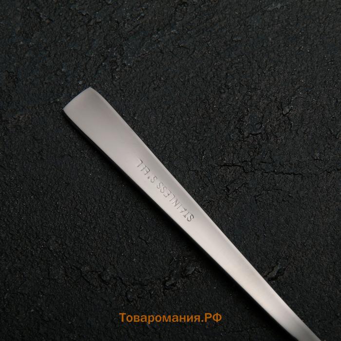 Ложка чайная «Хоккайдо», длина 15 см, толщина 1 мм, нержавеющая сталь