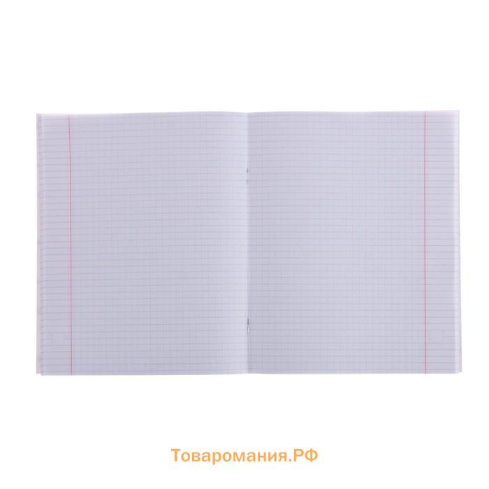 Тетрадь 48 листов в клетку, Calligrata «Коты», обложка мелованный картон, МИКС