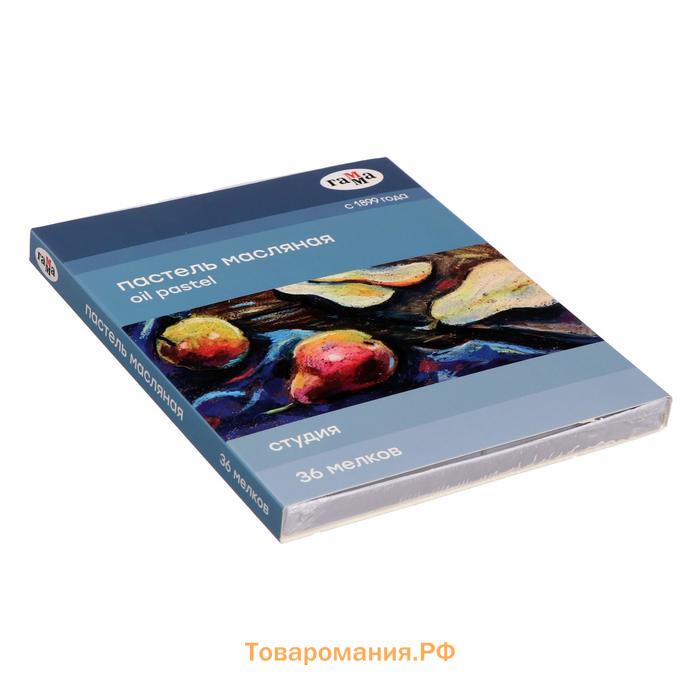Пастель масляная, набор 36 цветов, Гамма "Студия", d-8мм, l-65мм, в картонной коробке