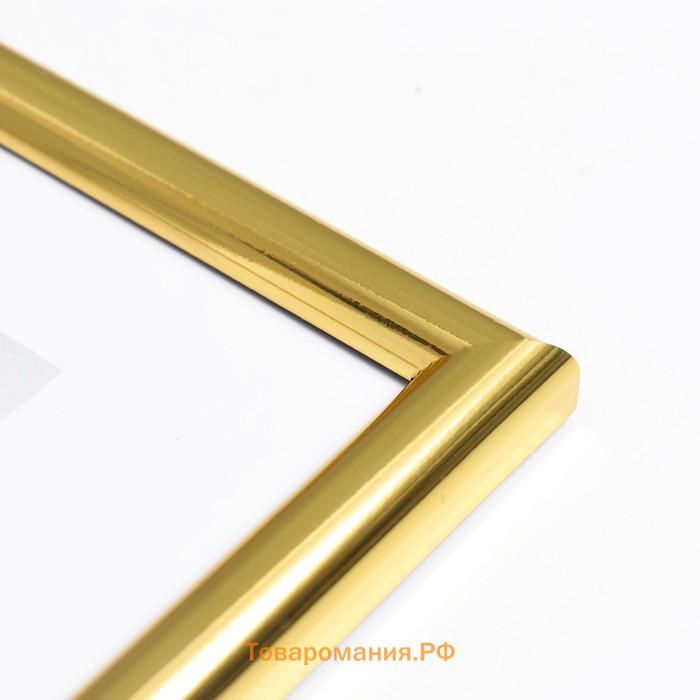 Фоторамка пластик "МИРАМ" 15х20 см золото (пластиковый экран)