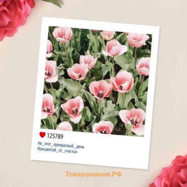 Мини‒открытка «С 8 марта», 8×10 см