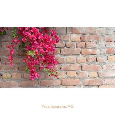Фотобаннер, 300 × 200 см, с фотопечатью, люверсы шаг 1 м, «Красные цветы», Greengo