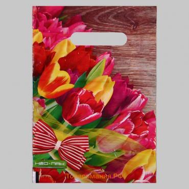 Пакет "Тюльпаны с бантом", полиэтиленовый с вырубной ручкой, 30 мкм , 20 х 30 см