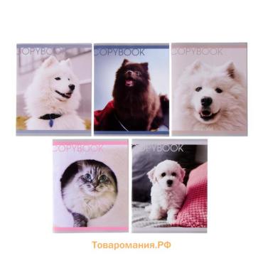 Тетрадь 48 листов в клетку Calligrata «Любимые питомцы», обложка мелованная бумага, серые листы, МИКС