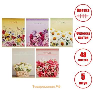 Набор тетрадей 48 листов в клетку Calligrata «Цветы», обложка мелованный картон, 5 шт.